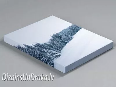 Kanvas apdruka ar ziemas meža ainavu un apsnigušiem kokiem