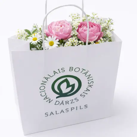 White custom paper bag with National Botanical Garden print, filled with flowers